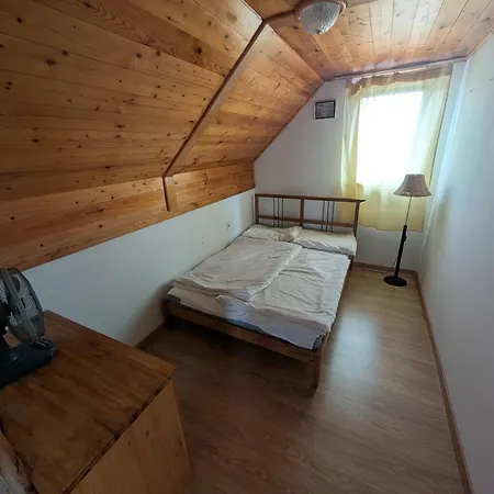Apartament Ricsi *